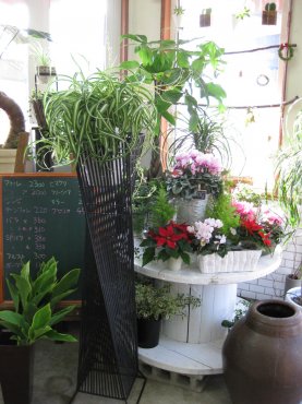 「西山生花店」　（北海道札幌市白石区）の花屋店舗写真2